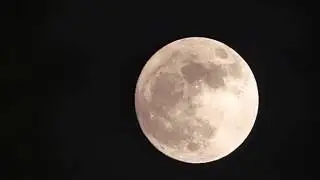 SUPERMOON   Florida   November 13, 2016