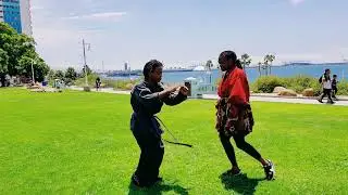 Sanuces Ryu Professor Zahalea  RA Life Defense