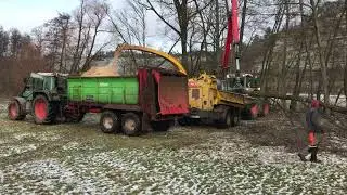 Holzhacken für Hackschnitzel Heizung #1