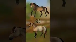 Новая и Старая Коннемара✨ #connemara #starstable #sso #pony #horse