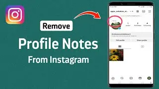 How To Remove Instagram Profile Notes