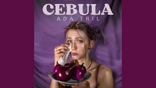 Cebula