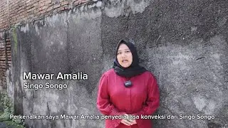 Testimoni Penyedia Singo Songo kepada Tokodaring Tisera