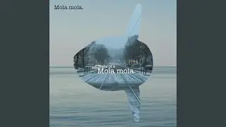 Inner Feeling