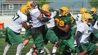 Eskimos offensive line coach