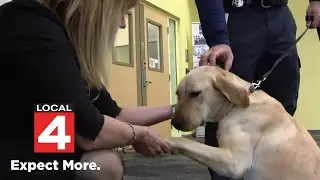 Arson dog gonation helps Detroit Fire Department