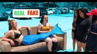 Instagram Followers Control Our Life for Day︱Connected Mermaids