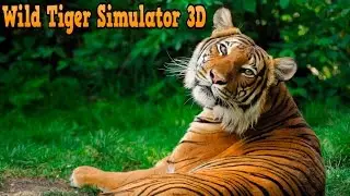👍🐅Wild Tiger Simulator 3D - By Turbo Rocket Games Simulation - iTunes/Android