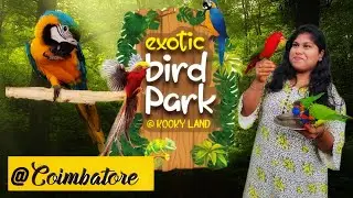 Exotic birds park @Mettupalayam |Coimbatore| KOOKYLAND |Goppamavaney|