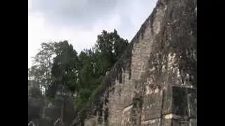 tikal