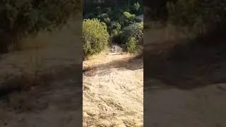 Enduro Isla de Y&aacute;quil (ART)