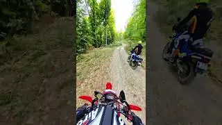 #saptecoline #motorcycle #honda #crf300l #music #enduro #dirt #forest #ride #group #fun #adventure