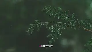 Animals That Look Like They're From Another Planet - Explained
