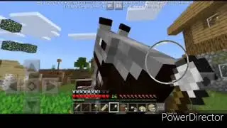 Building my pet cage watch tell the end