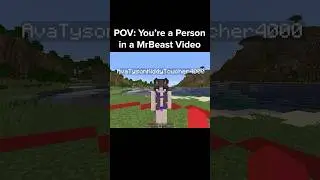 Minecraft MrBeast Moment