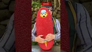 Пять самых вонючих фруктов на Земле &mdash; сможете ли вы выдержать этот запах?