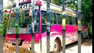 PeeGee Travels