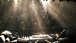 Winter Forest Morning | With Birdsong & Rustling Trees | Relax Or Study | 4Hours | 4K