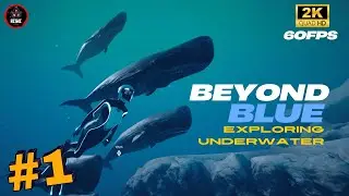 BEYOND BLUE - Gameplay Walkthrough Part 1 - The Ocean Underwater - (No Commentary)