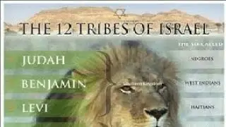 TAZABAH YAHAWADAH ⚔️ is live! THE HEATHENS GOING INTO CAPTIVITY NON ISRAELITES
