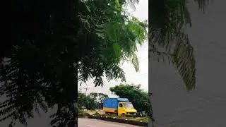 #daily #nature #dailyvideo #memories #travel #video #home #tour #day #viral #viralvideo