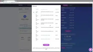 Bitpetite   