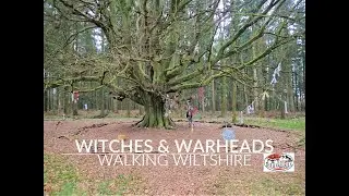 Haunted Wood Walk! Witches & Warheads: Grovely Wood #wellbeing #greenspaces