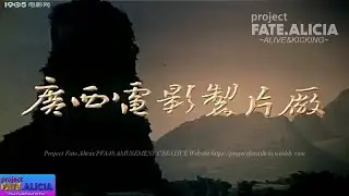 Project Fate.Alicia's Mini Chinese Logo Compilation #2