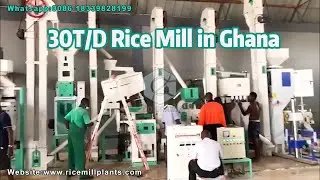 30T Rice Processing Plant Supplier - Co-Grain Rice Mill #autoricemill #ricemillsupplier #ricemill
