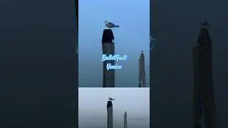 BulletFast Venice (Italy)