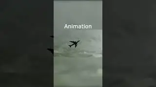 Animation vs Real Life - National Airlines Flight 102 #planecrash