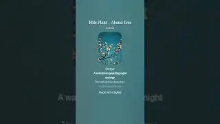 Bble Plant   Alomd Tree