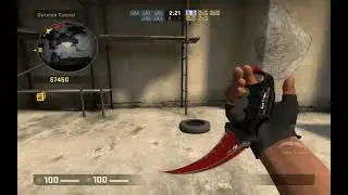 CS GO   Karambit   Crimson Web Showcase!