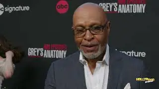 &lsquo;Grey&rsquo;s&rsquo; Made James Pickens Jr.&rsquo;s Dreams Come True