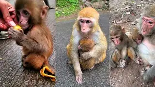 WOW! Look At These Cute Babies Playing With Family 🥰