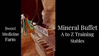 Sweet Medicine Farm Free-Choice Mineral Buffet at A to Z Training Stables