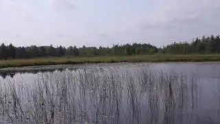 Little Grass Lake Atlanta MI  Home on 40 Acres Waterfront Acreage For Sale, Real Estate