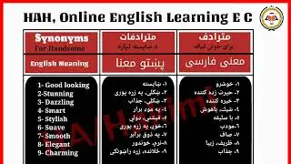 SGC Program 4 Lesson ( synonyms For handsome )
