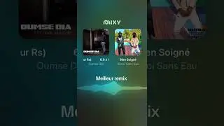 Vous kiffez #remix #renoisanseau #bassem