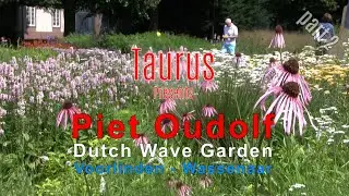 Piet Oudolf - Dutch Wave Garden - Voorlinden - Wassenaar - part 2