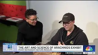 &lsquo;The Art and Science of Arachnids' debuts at Peggy Notebaert Museum