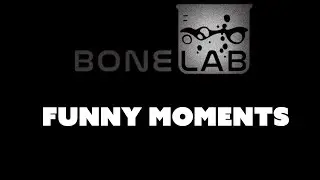 Bonelab Funny Moments in Bonelab