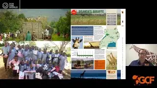 A Tall Order: Securing a Future for Giraffe in the Wild - Presentation 3 with GCF Dr Julian Fennessy