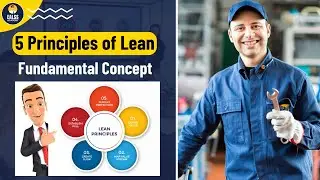 What are the 5 Principles of Lean Manufacturing? | EALSS Academy