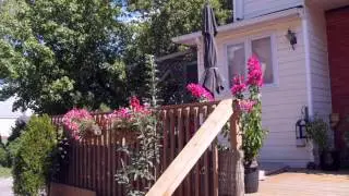 Homestead House B&B - Mount Hope - Canada