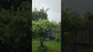 The Majestic Downpour: A Heavy Rain Experience in the Back Garden #melbourneweather  #melbourne #4k