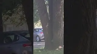 summer day in ohio