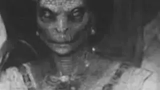 Real life reptilian photo taken in Buckingham in 1996