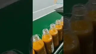 Automatische multi-head sap, drank, vloeistofvulmachine, plastic dopschroefdopmachine