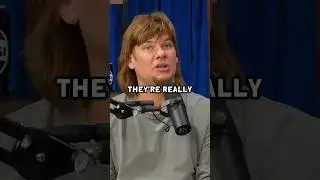 Theo Von Talks About Being at UFC With Rogan and Cormier #shorts